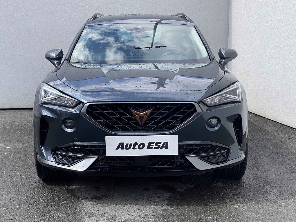 Cupra Formentor 2.0 TDi 