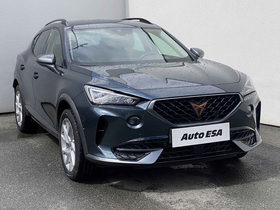 Cupra Formentor 2.0 TDi 