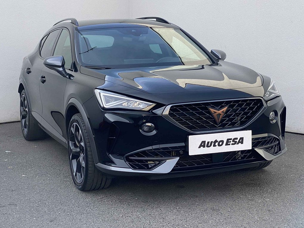 Cupra Formentor 2.0 TSi  4Drive