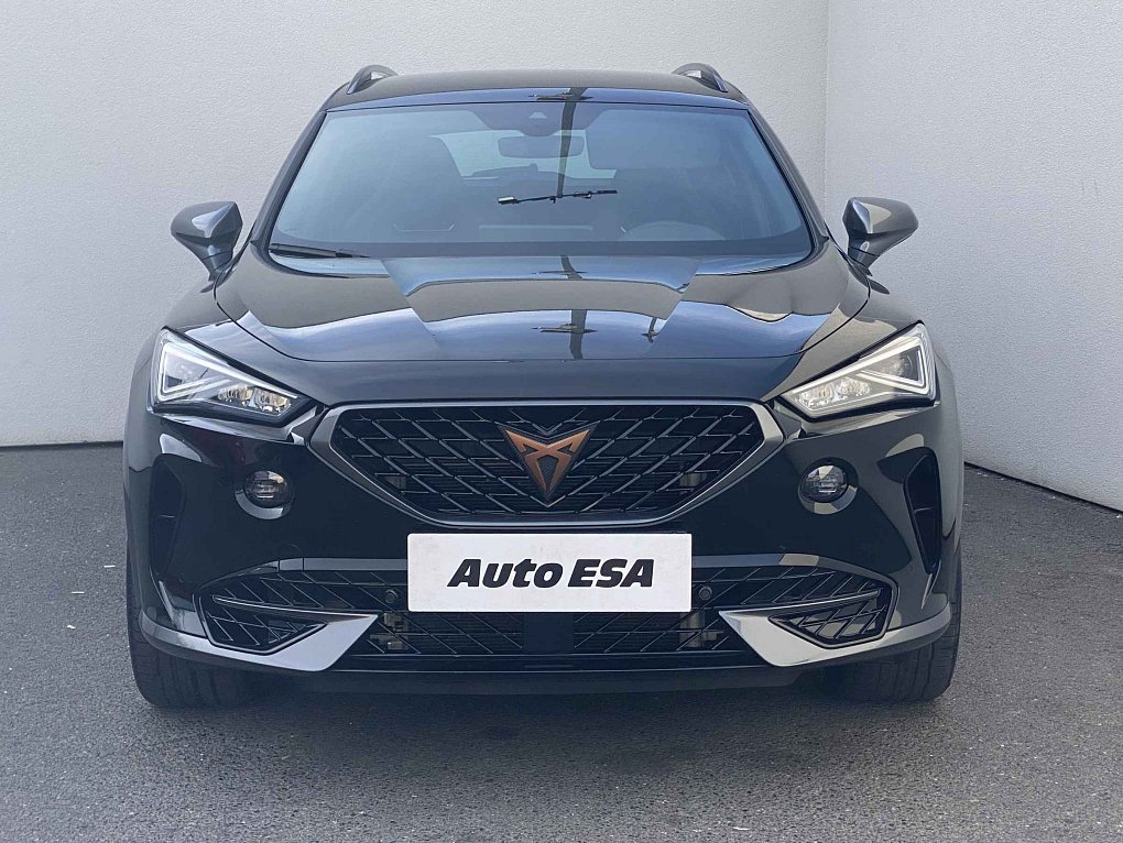 Cupra Formentor 2.0 TSi  4Drive
