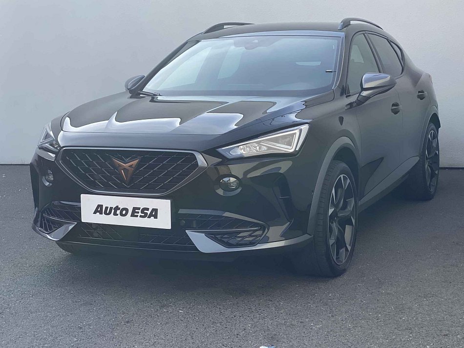 Cupra Formentor 2.0 TSi  4Drive