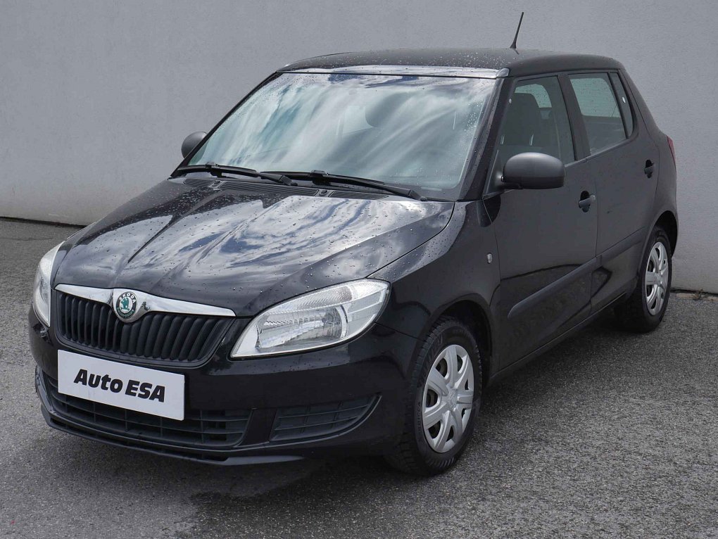 Škoda Fabia II 1.2i 