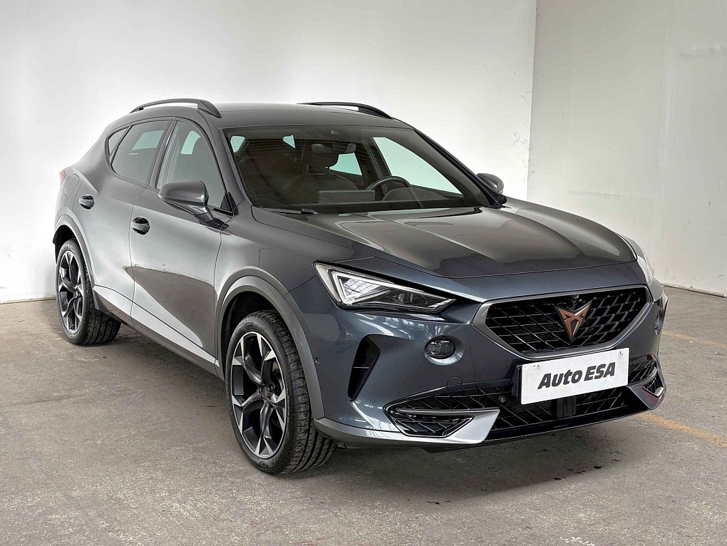 Cupra Formentor 2.0 TSi  4Drive