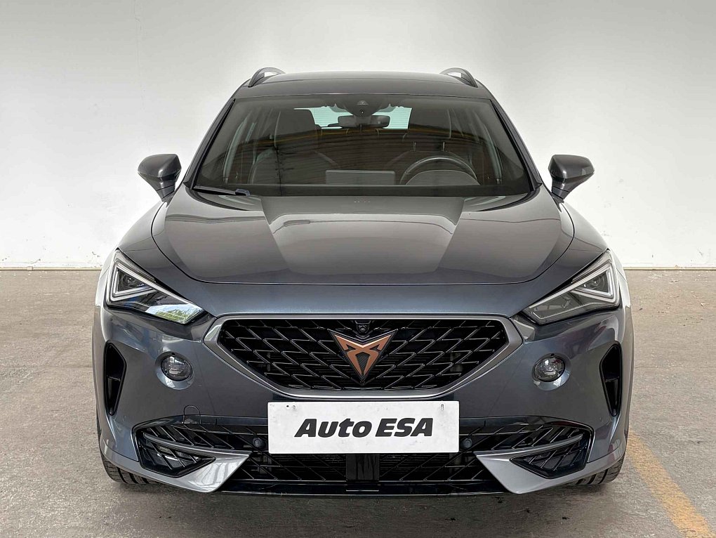 Cupra Formentor 2.0 TSi  4Drive