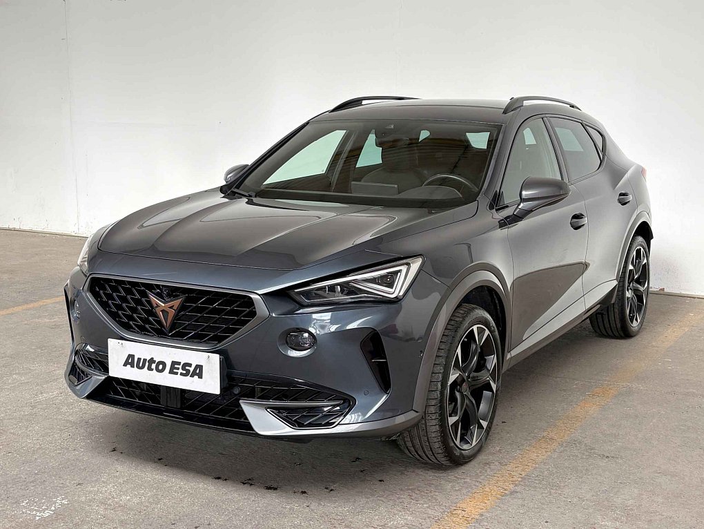 Cupra Formentor 2.0 TSi  4Drive
