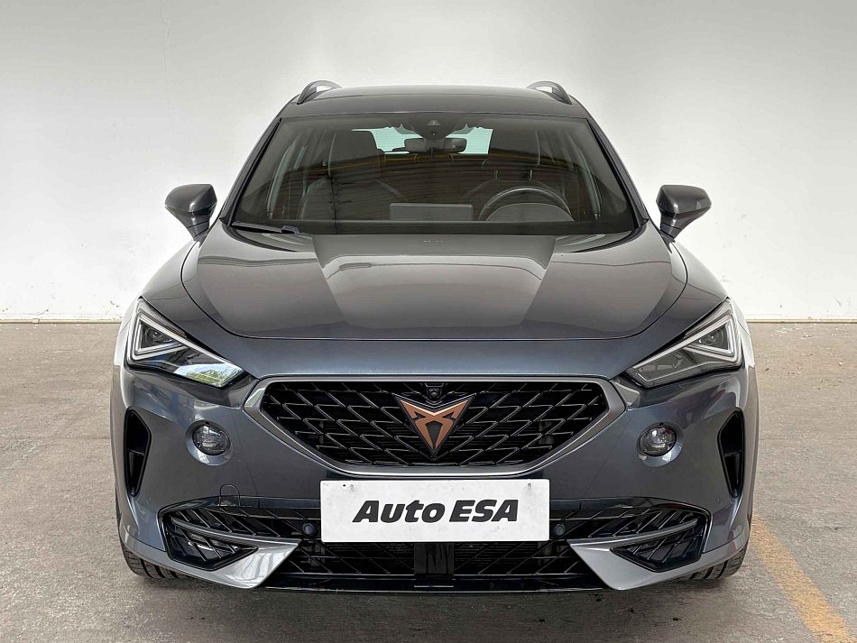 Cupra Formentor 2.0 TSi  4Drive